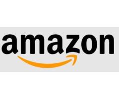 Lightspeed Amazon Integration - No Setup Fee