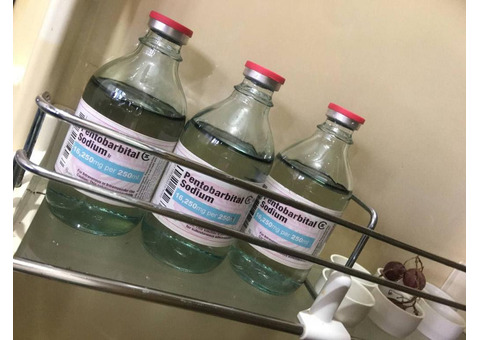 BUY NEMBUTAL ONLINE ,BUY PENTOBARBITAL SODIUM, BUY