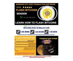 HOW TO SEND FAKE BITCOINS TO ANY WALLET.