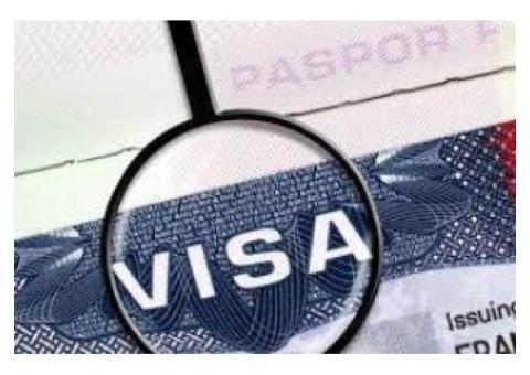 Visa facilitation services for Russia
