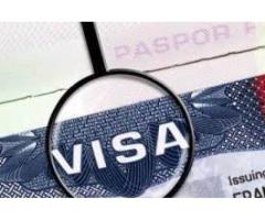 Visa facilitation services for Russia