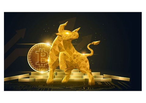 All Things Crypto, Right Here!