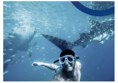 Snorkeling Tours in Cancun