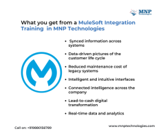 The Best MuleSoft Integration Training in Bangalore | MNP Technologies