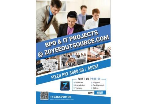 BPO Projects with High payouts from Zoyeeoutsource