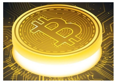 Start Your Portfolio Today and Discover Crypto