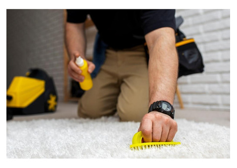 Best carpet cleaning Brisbane - Ezydry
