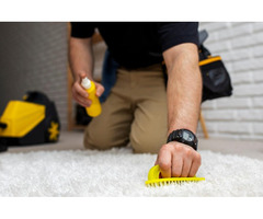 Best carpet cleaning Brisbane - Ezydry