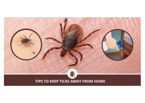 One India Pest Control- Best Pest Control Services in India