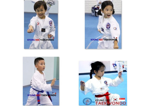 TKD is not merely a martial art, but a way of life N a state of mind