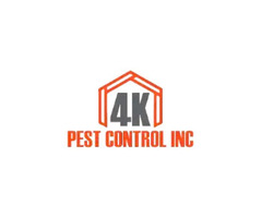 Leading Pest Control in Newmarket – Keeping Your Property Pest Free