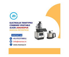 Electrolux TrinityPro Combined Vegetable Slicer Jamshedpur