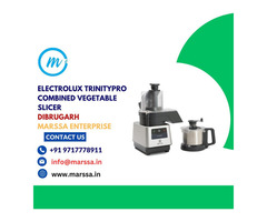 Electrolux TrinityPro Combined Vegetable Slicer Dibrugarh