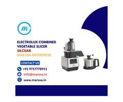 Electrolux TrinityPro Combined Vegetable Slicer Silchar