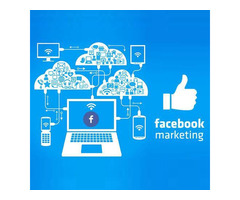 Recognized Facebook ads management agency in Delhi