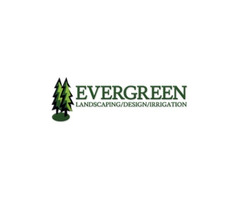 Evergreen irrigation