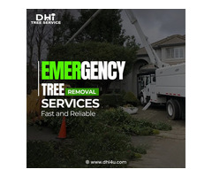 Tree Removal Services in New Jersey | DHI Tree Services