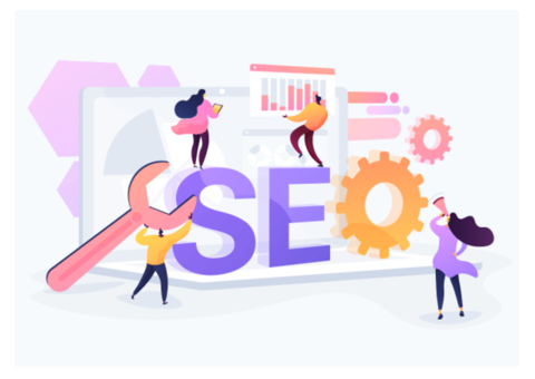 Your Trusted White Label SEO Company in India – Pitch Pine Media