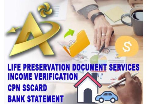 Income Proof Documents;Biz Documents
