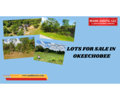 Affordable Lots for Sale in Okeechobee