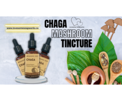 Best Quality Chaga Mushroom Tincture