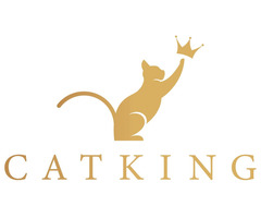 Best Cattery Canada |  Buy Cats Online - CatKing