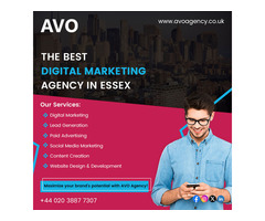 Digital Marketing Agency in Essex | AVOAgency.co.uk