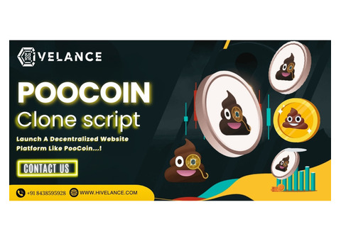 Create Your Own DeFi Analytics Platform Like PooCoin with Hivelance