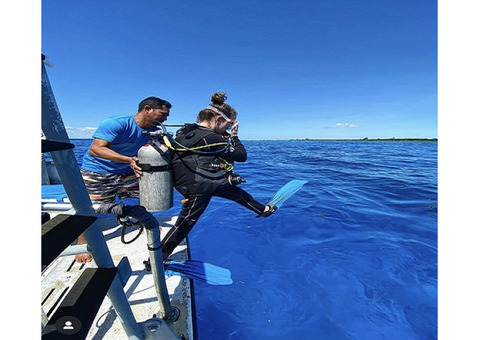 Cancun Diving