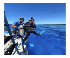 Cancun Diving