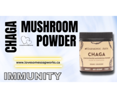 Organic Chaga Mushroom Powder