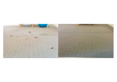 Residential carpet cleaning services