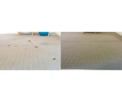 Residential carpet cleaning services