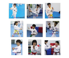 Taekwondo helps students pursue excellence and overcome challenges