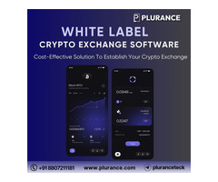 Launch your crypto exchange with our whitelabel solutions