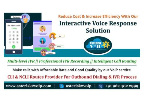 Interactive Voice Response Solution