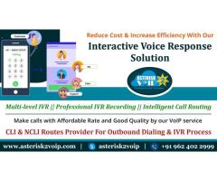 Interactive Voice Response Solution