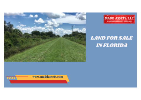Top Opportunities for Land for Sale in Florida