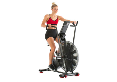 Spin Bike Schwinn