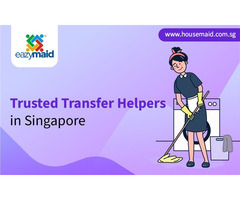 Trusted Transfer Helpers in Singapore