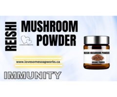 Premium Reishi Mushroom Powder