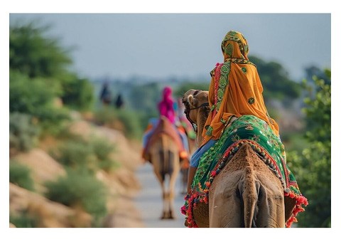 Discover Your Gateway to Unforgettable Adventures