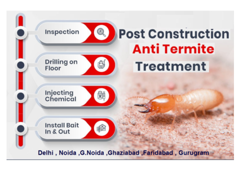 One India Pest Control – Expert Pest Control in Delhi, Noida