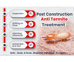 One India Pest Control – Expert Pest Control in Delhi, Noida