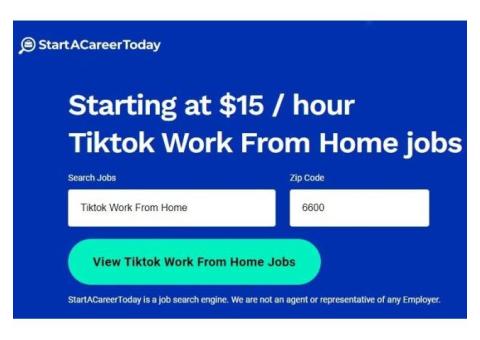 Tiktok Work From Home