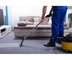 Get an Affordable Carpet Cleaning in Oceanside, CA