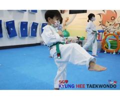 Kyunghee Taekwondo-basic kicks, training, grading and competitions