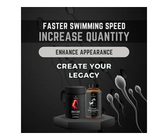 Shop Best Legacy Path Supplement to Increase Sperm Count