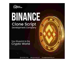 Best Binance clone development Company - Block Sentinels