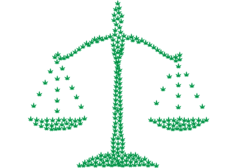 Merchant Account Lawsuit Lawyer – Protect Your Business with TFM Law